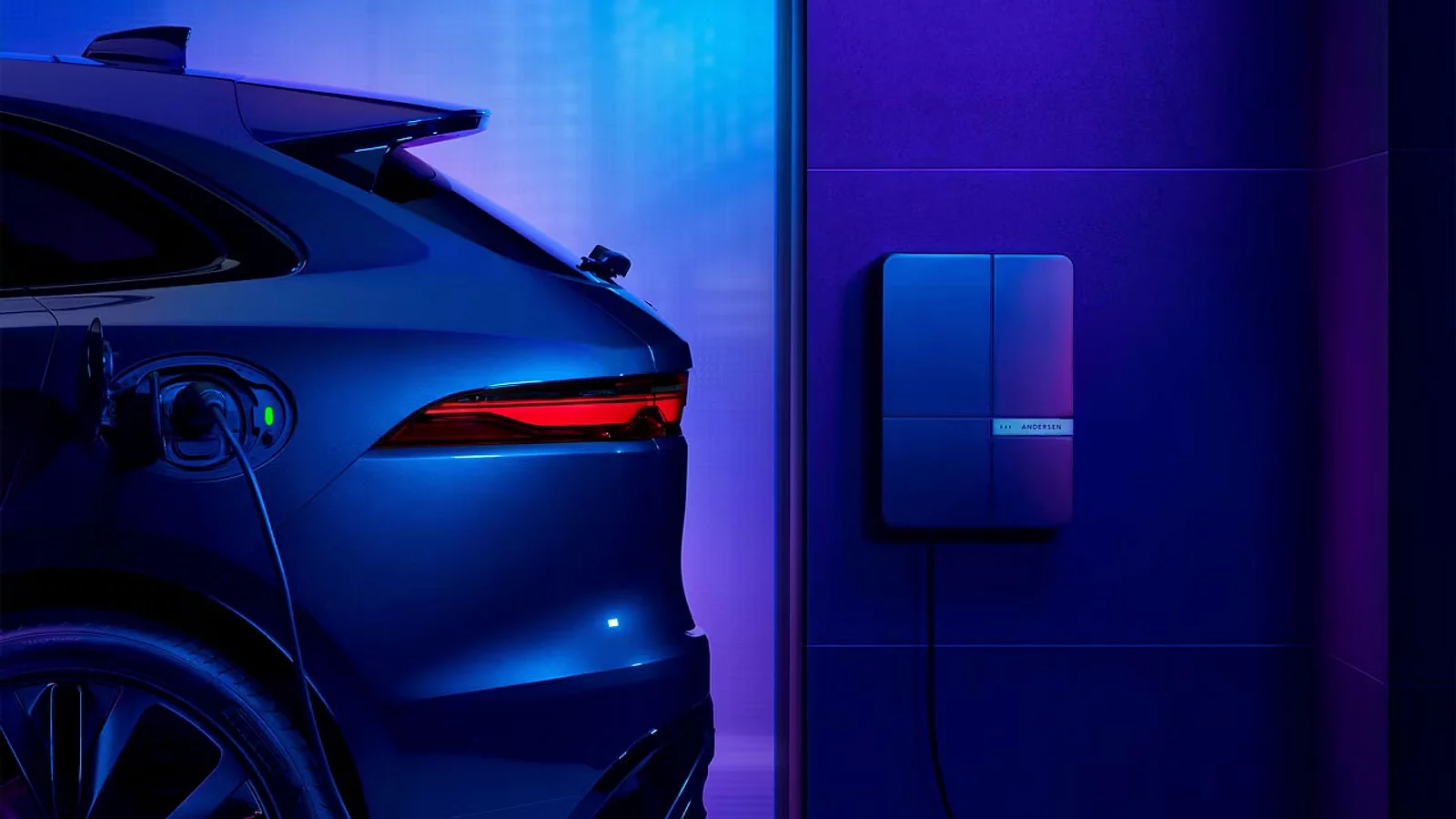 ELECTRIC VEHICLE (EV) OWNERSHIP