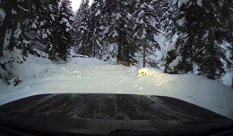Defender karlı arazi koşullarında